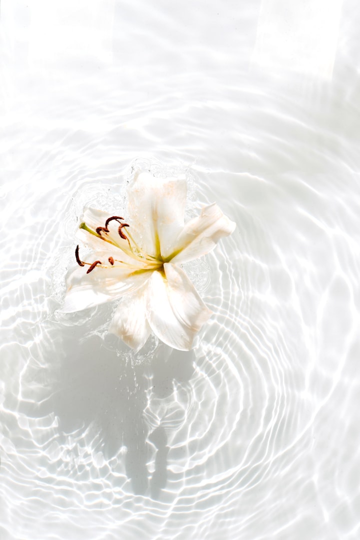 Grief Counselling and therapy, Park Road, CV1